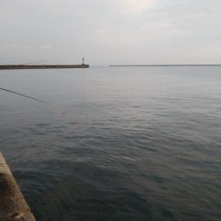 夕まずめタチウオ釣行