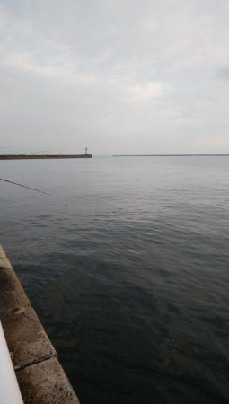 夕まずめタチウオ釣行