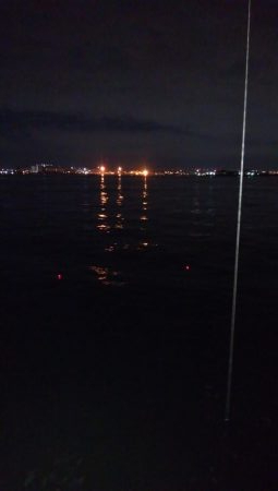 台風後のタチウオ