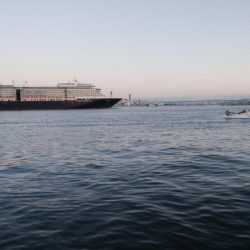 ついにドラゴン