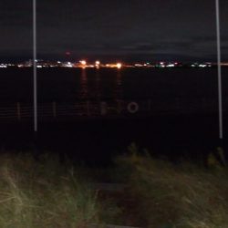 渋い中なんとかタチウオ