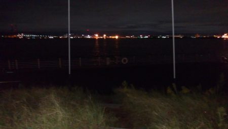 渋い中なんとかタチウオ