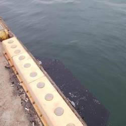 やっぱり渋いな