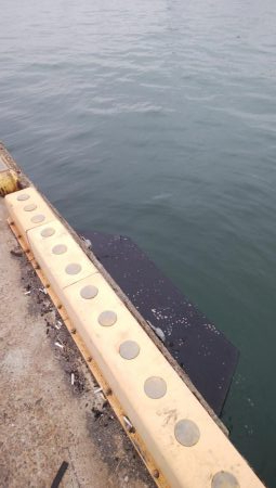 やっぱり渋いな