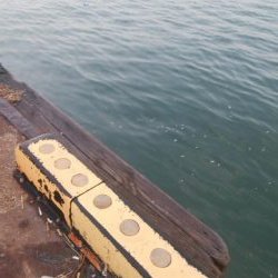 久々によく釣れた