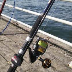 コスモまだ行けるやん!