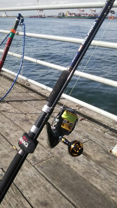 コスモまだ行けるやん!