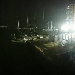 メバリングのはずがアジングに