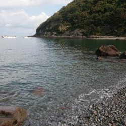 青物&ロックフィッシュ