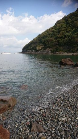 青物&ロックフィッシュ