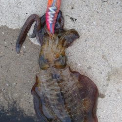 エキングパーティー参加