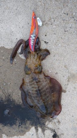 エキングパーティー参加