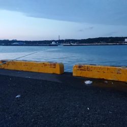 だんだん渋くなって来ました