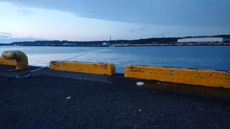 だんだん渋くなって来ました