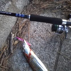 またしても大型熱帯低気圧が近づいています