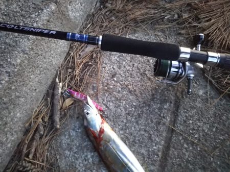 またしても大型熱帯低気圧が近づいています