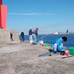 時合い短い播磨新島釣行