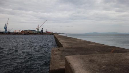 台風接近直前の播磨新島釣行