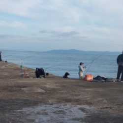 潮時が重要な播磨新島釣行