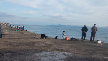潮時が重要な播磨新島釣行
