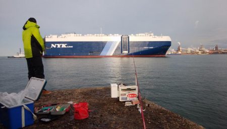 朝から爆釣続く播磨新島釣行