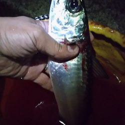 和歌山帰りに寄り道