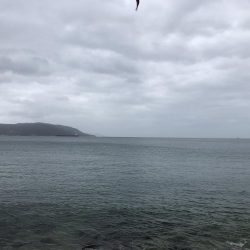 台風一過後のデイエギング