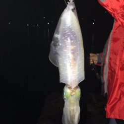 小雨の中４００とどかず