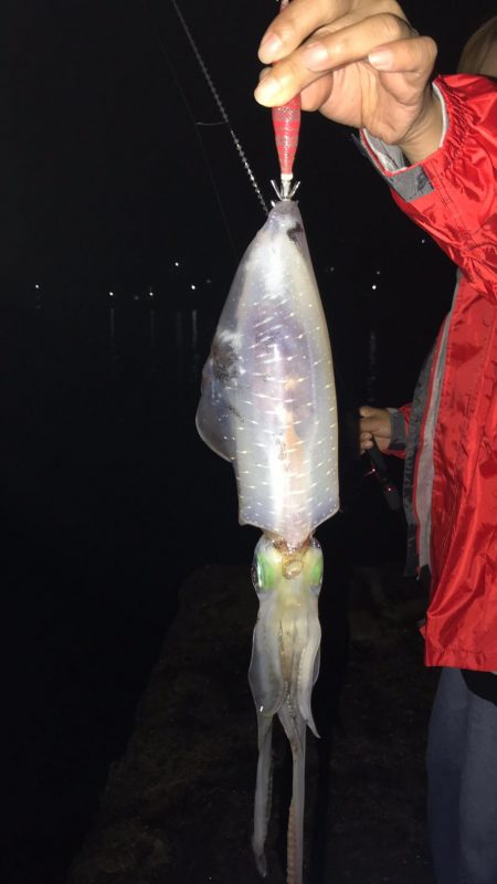 小雨の中４００とどかず