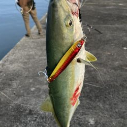 久々ショアジギ