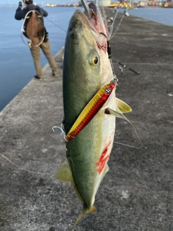 久々ショアジギ