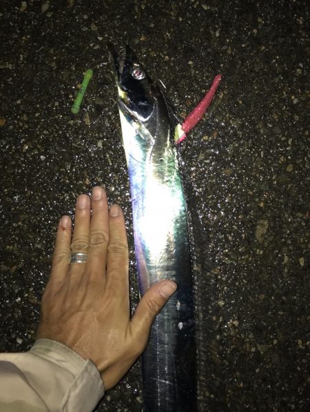 10月29日太刀魚、久しぶりの、２ケタ