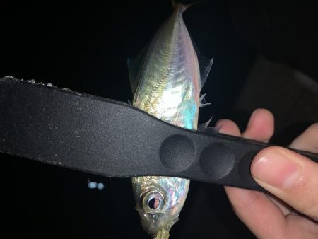 アーバンサイドアジング