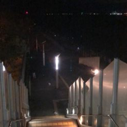 人でいっぱいシーサイドコスモ