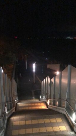 人でいっぱいシーサイドコスモ