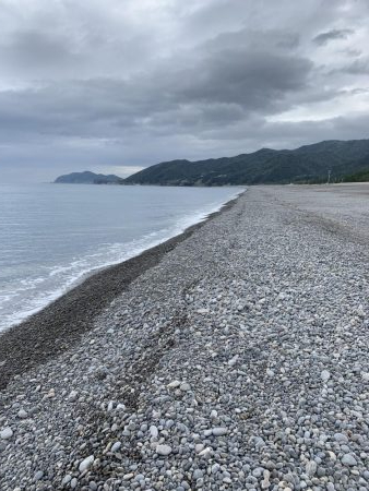 久しぶりに連れました