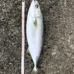 小潮なのに活性高っ!!