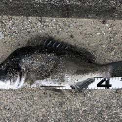 イチノ兄弟、釣果!