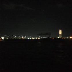 ひさびさに調査