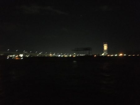 ひさびさに調査