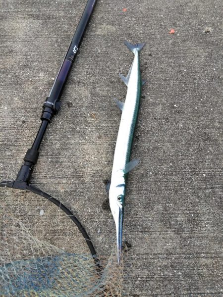 フカセが一番・・面白いです・・