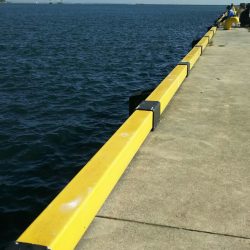 【苅田港】秋のシーバス調査