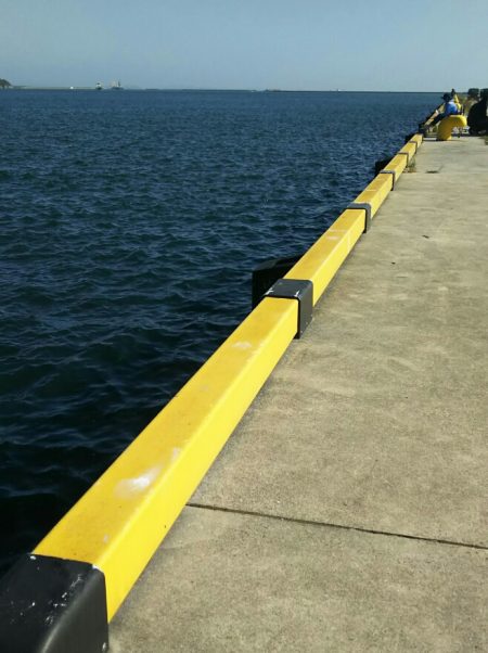 【苅田港】秋のシーバス調査