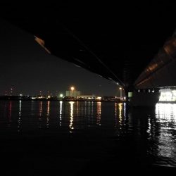 南港釣行 （10/15 10月半ば南港タチウオ釣り 6本(max 90cm) 釣果有り）