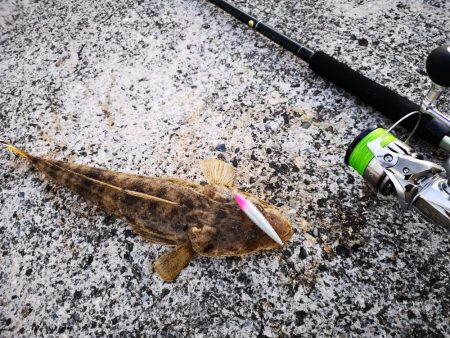 久しぶりの釣果です。