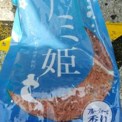 イワシを求めて