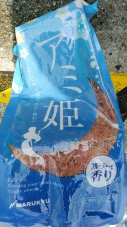 イワシを求めて