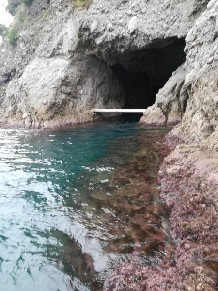 アオリイカ探して