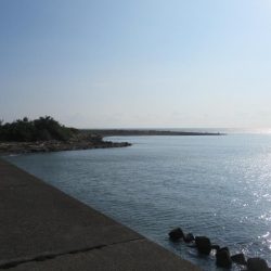 那賀川河口のメッキアジ