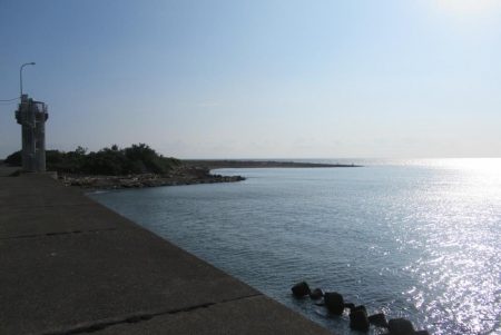 那賀川河口のメッキアジ